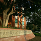 Illustration for article titled USC Gynecologist Accused of Misconduct Blames Jealous Old Ladies With Loose Vaginas